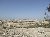 Aussicht vom Ölberg