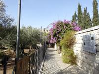 Garten Gethsemane