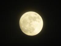 Rückflug bei Vollmond