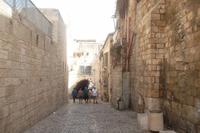 in der Jerusalemer Altstadt