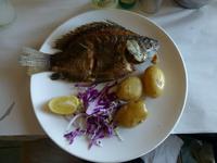 See Genezareth - St. Peter Fisch