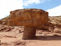 Timna Park - Pilz