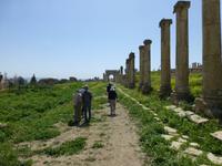 Jerash - Cardo