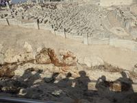 Israel Museum