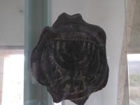 Zippori