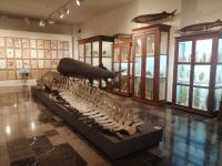 Im Nationalmuseum in Tbilisi