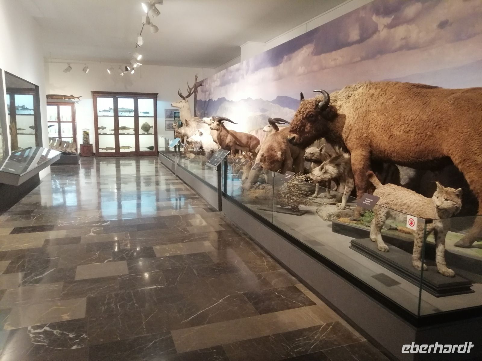 Im Nationalmuseum in Tbilisi