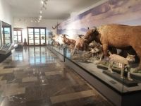 Im Nationalmuseum in Tbilisi