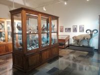 Im Nationalmuseum in Tbilisi