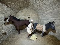 Museum im Feuertempel