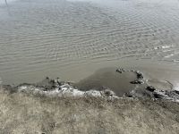 Schlammvulkan im See