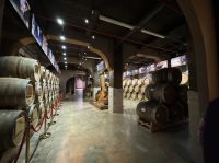 Eichenfässer mit Brandy im Lagerkeller