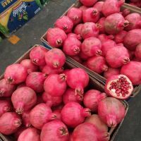 Baku: Rundgang: Markt