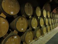 Brandyfabrik Yerevan