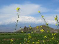 Chor Virap mit Ararat