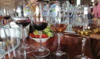 Verkostung von verschiedenen Weinsorten in Kachetien