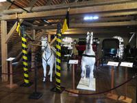 Bundesgestüt Piber - Spanische Hofreitschule 