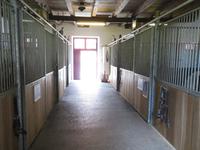 Bundesgestüt Piber - Spanische Hofreitschule 