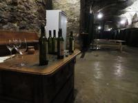 Steiermark - Schloss Seggau - Weinkeller