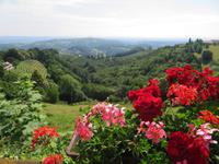 Kitzek - Blick in die Steiermark