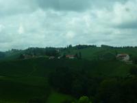 Südsteirische Weinstraße