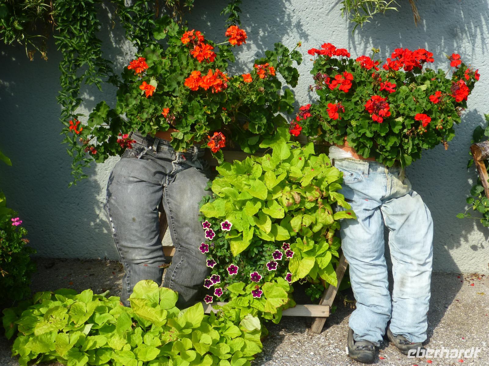 Schilcher Weinstraße