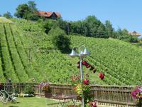 Schilcher Weinstrasse