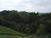 auf der südsteirischen Weinstraße