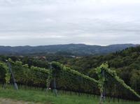 Blick in Richtung Slowenien