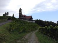 Weingüter entlang der Straße