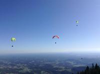 die Paragleiter fliegen