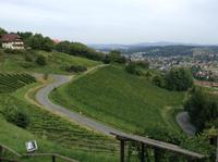 auf der Schilcher Weinstraße