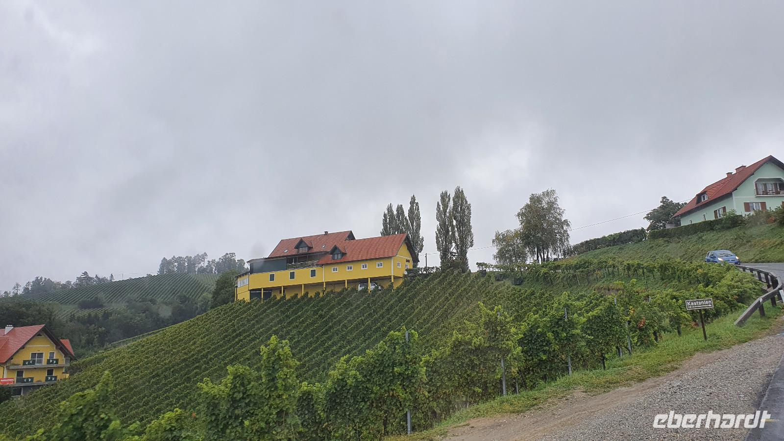 steirische Weinstraße im Regen