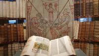 Bibliothek Stift Rein