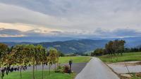 Blick vom Buschenschank