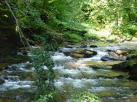 Lassnitzklamm