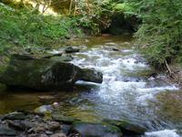Lassnitzklamm