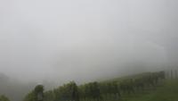 Weinstraße im Regen