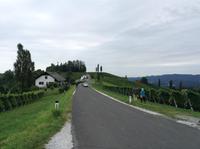 auf der Weinstraße