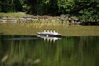 Halifax - Public Gardens mit Titanic Modell