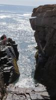 Acadia Nationalpark - Thunder Hole 
