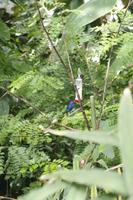 Biodome - Montreal, Kanada