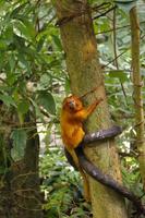 Biodome - Montreal, Kanada
