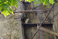 Biodome - Montreal, Kanada