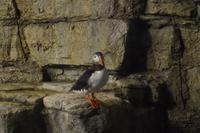 Biodome - Montreal, Kanada