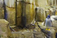 Biodome - Montreal, Kanada