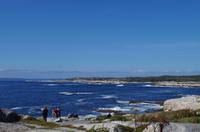 Besuch des Fischerdorfs Peggy's Cove