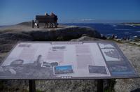 Besuch des Fischerdorfs Peggy's Cove