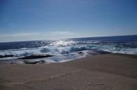 Besuch des Fischerdorfs Peggy's Cove