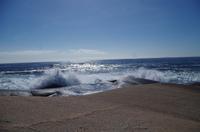 Besuch des Fischerdorfs Peggy's Cove